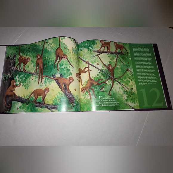 Sunny numbers a Florida counting book - Picture 3 of 7